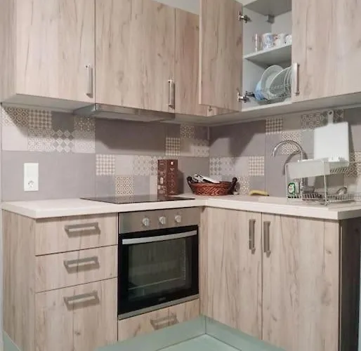 Spiros House Διαμέρισμα *