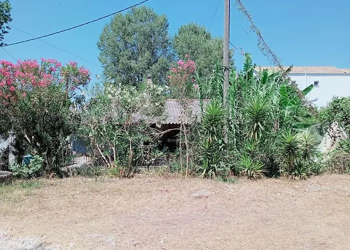 Διαμέρισμα Spiros House Λυγιά